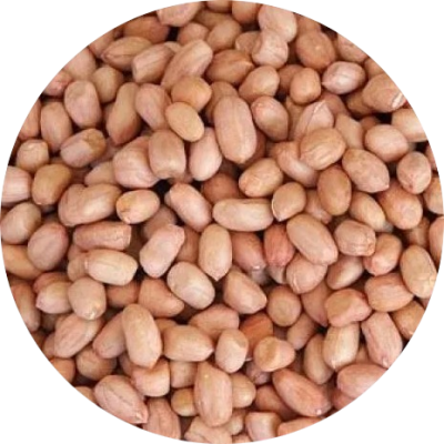 peanut-2