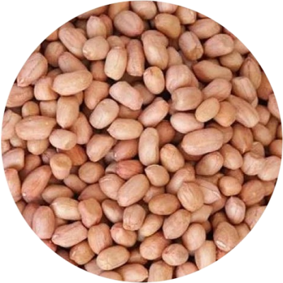 peanut-3